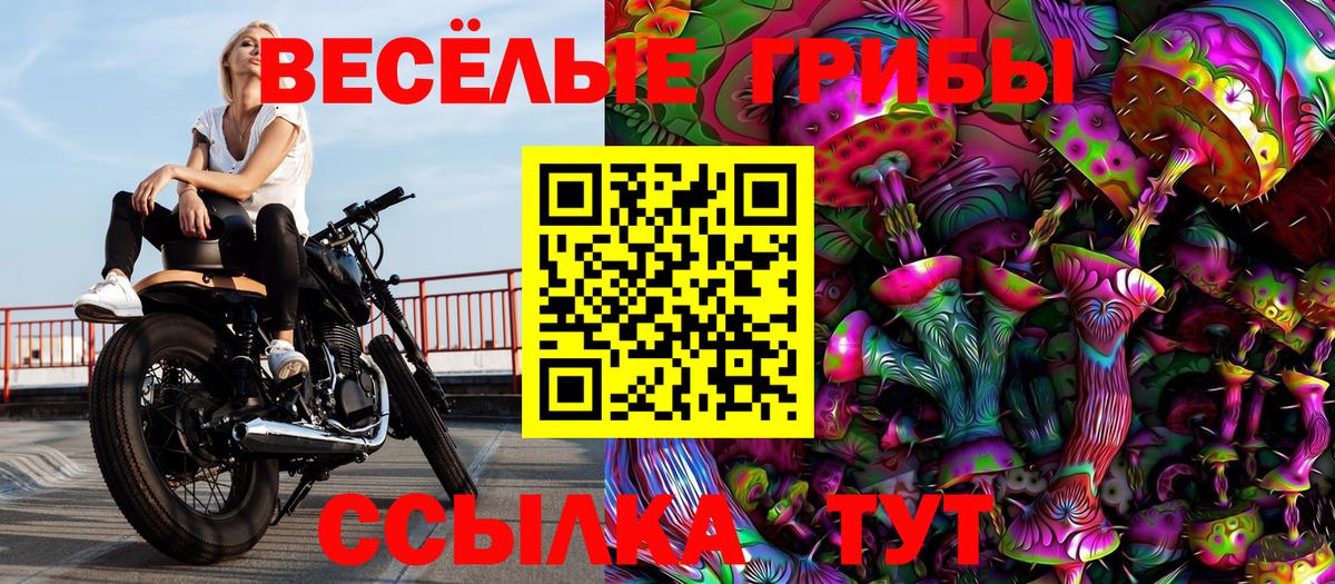 Галлюциногенные грибы Psilocybe  Галлюциногенные грибы GOLDEN TEACHER  Южно-Сахалинск  Вход с VPN 