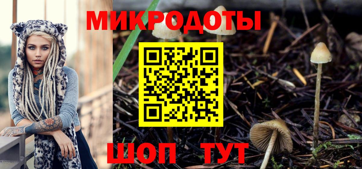 Галлюциногенные грибы мицелий Южно-Сахалинск